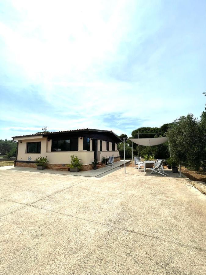 Il Moro - Casa Vacanze Terrasini Exterior foto